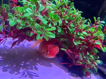 南知多ビーチランド＆南知多おもちゃ王国に投稿された画像（2025/8/6）