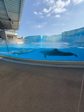 新江ノ島水族館に投稿された画像（2025/8/6）