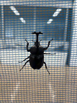 やまぐちフラワーランドに投稿された画像（2025/8/6）