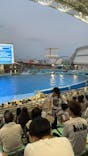 名古屋港水族館に投稿された画像（2025/8/6）