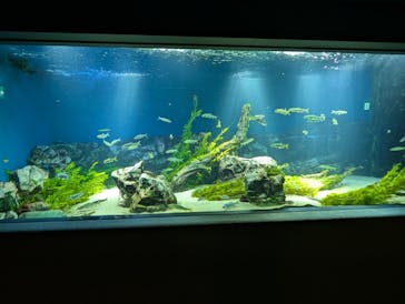 サンシャイン水族館に投稿された画像（2025/8/6）