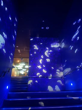 サンシャイン水族館に投稿された画像（2025/8/6）