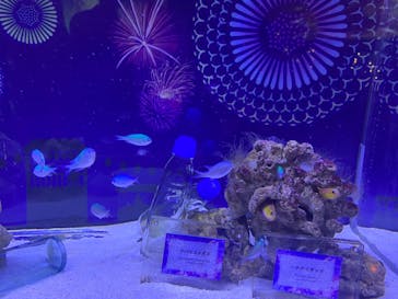 マクセル アクアパーク品川に投稿された画像（2025/8/6）