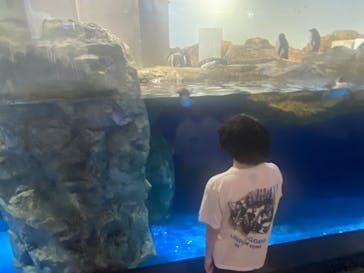 マクセル アクアパーク品川に投稿された画像（2025/8/6）