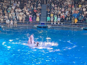 マクセル アクアパーク品川に投稿された画像（2025/8/6）