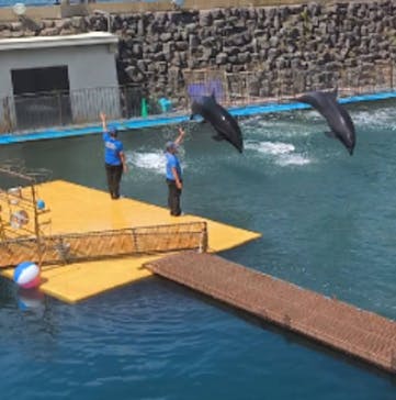 越前松島水族館に投稿された画像（2025/8/6）