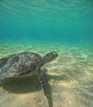 コズミックアースに投稿された画像（2025/8/6）