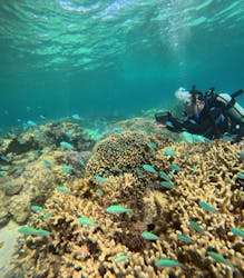 コズミックアースに投稿された画像（2025/8/6）