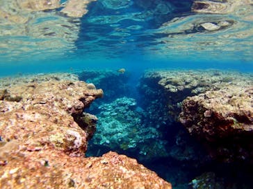 マリンショップ石垣島笑顔向上請負所に投稿された画像（2025/8/6）