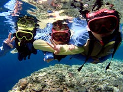 マリンショップ石垣島笑顔向上請負所に投稿された画像（2025/8/6）