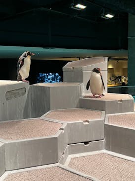 AOAO SAPPOROに投稿された画像（2025/8/6）