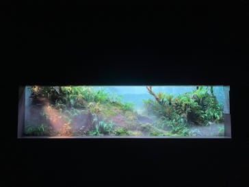 AOAO SAPPOROに投稿された画像（2025/8/6）