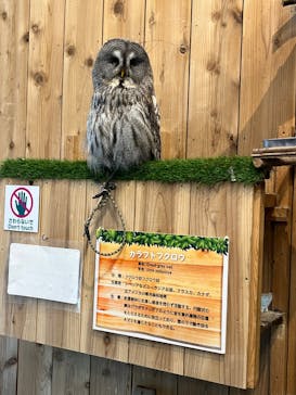 伊豆シャボテン動物公園に投稿された画像（2025/8/6）
