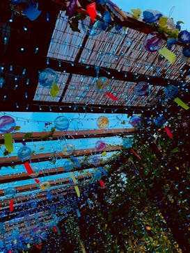 江戸東京たてもの園に投稿された画像（2025/8/6）