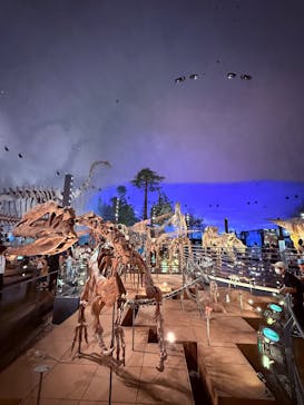 福井県立恐竜博物館に投稿された画像（2025/8/6）