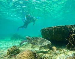 沖縄マリンクラブ結に投稿された画像（2025/8/6）