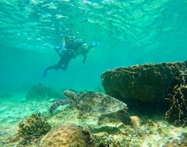 沖縄マリンクラブ結に投稿された画像（2025/8/6）