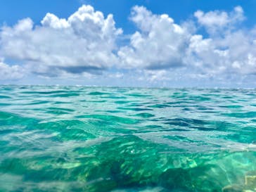 沖縄マリンクラブ結に投稿された画像（2025/8/6）