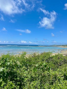 沖縄マリンクラブ結に投稿された画像（2025/8/6）