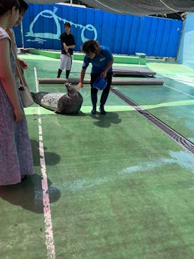 ゼロ距離水族館 伊勢シーパラダイスに投稿された画像（2025/8/6）