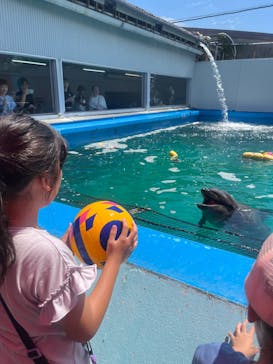 ゼロ距離水族館 伊勢シーパラダイスに投稿された画像（2025/8/6）