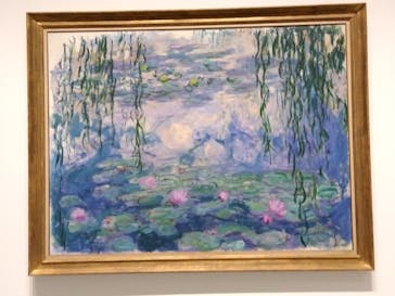 モネ 睡蓮のとき（豊田会場）に投稿された画像（2025/8/6）