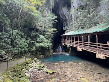秋芳洞に投稿された画像（2025/8/6）
