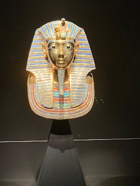 MYSTERY OF TUTANKHAMEN 体感型古代エジプト展に投稿された画像（2025/8/6）