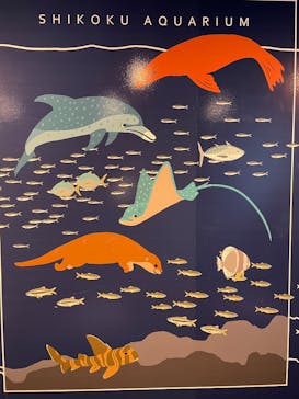 四国水族館に投稿された画像（2025/8/6）