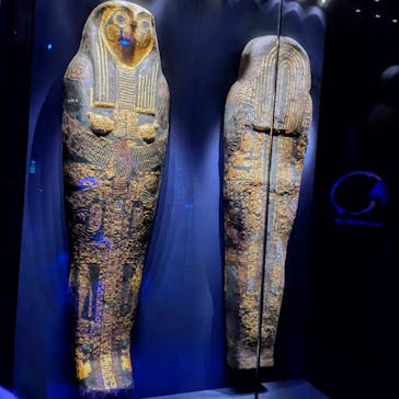 ACN ラムセス大王展 ファラオたちの黄金に投稿された画像（2025/8/6）