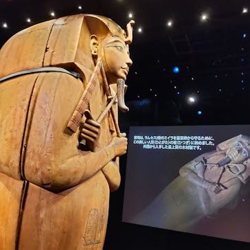 ACN ラムセス大王展 ファラオたちの黄金に投稿された画像（2025/8/6）