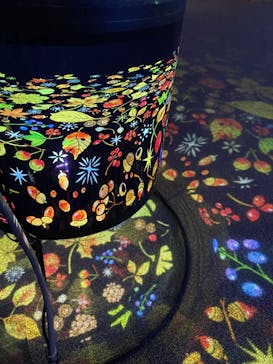 旅する光の切り絵展 ～くうそうって、まほうだよ～に投稿された画像（2025/8/6）