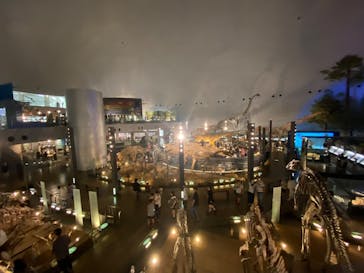 福井県立恐竜博物館に投稿された画像（2025/8/6）