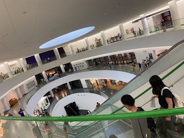 福井県立恐竜博物館に投稿された画像（2025/8/6）