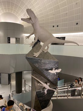 福井県立恐竜博物館に投稿された画像（2025/8/6）