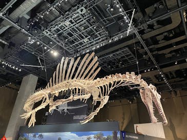 福井県立恐竜博物館に投稿された画像（2025/8/6）