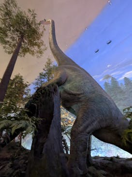 福井県立恐竜博物館に投稿された画像（2025/8/6）