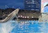 名古屋港水族館に投稿された画像（2025/8/7）