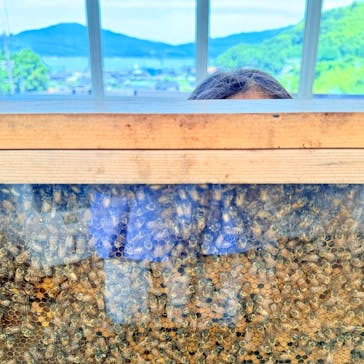 KASAHARA HONEYに投稿された画像（2025/8/6）