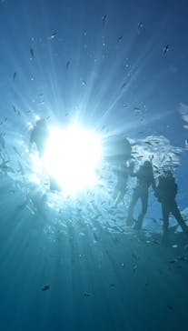 武藤潜水に投稿された画像（2025/8/7）