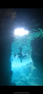 武藤潜水に投稿された画像（2025/8/7）