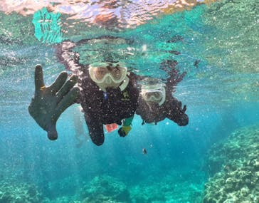 武藤潜水に投稿された画像（2025/8/7）