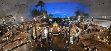 福井県立恐竜博物館に投稿された画像（2025/8/7）