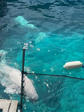 横浜・八景島シーパラダイスに投稿された画像（2025/8/7）