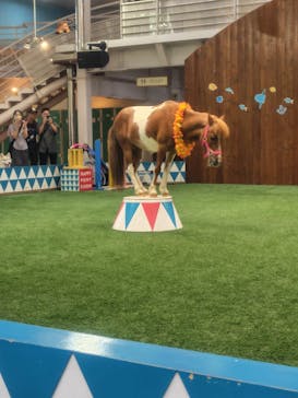 ノーザンホースパークに投稿された画像（2025/8/7）