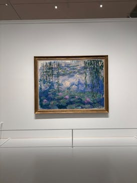 モネ 睡蓮のとき（豊田会場）に投稿された画像（2025/8/7）