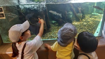 しながわ水族館に投稿された画像（2025/8/7）