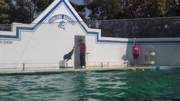 しながわ水族館に投稿された画像（2025/8/7）