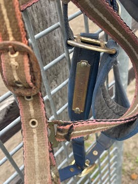 ノーザンホースパークに投稿された画像（2025/8/7）