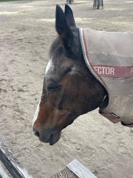 ノーザンホースパークに投稿された画像（2025/8/7）